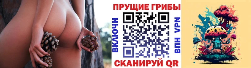 Галлюциногенные грибы MAGIC MUSHROOMS  Балабаново 